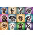 Puzzle da 1000 Pezzi - Funny Dog Portraits