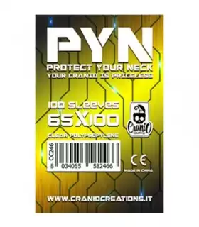 Bustine Protettive PYN 65 x 100