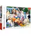 Puzzle da 1000 Pezzi - Dogs in the garden