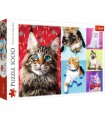 Puzzle da 1000 Pezzi - Happy cats