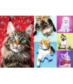 Puzzle da 1000 Pezzi - Happy cats
