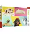 Puzzle da 1000 Pezzi - Neon Color Line: Far out Dogs