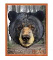 Puzzle da 550 Pezzi Sagomato - I Am Bear