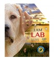 Puzzle da 550 Pezzi Sagomato - I Am Lab