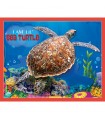Puzzle da 100 Pezzi Sagomato - I Am Lil'  Sea Turtle