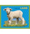 Puzzle da 48 Pezzi Sagomato - I Am Lil' Lamb