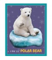 Puzzle da 48 Pezzi Sagomato - I Am Lil'  Polar Bear