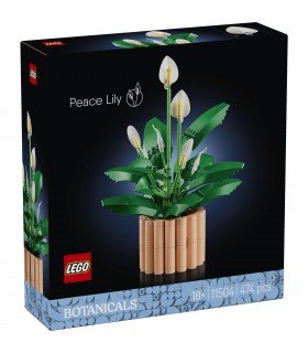 Botanicals - BOTANICALS 11504