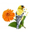 Puzzle da 300 Pezzi Sagomato - I Am Goldfinch