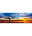 Puzzle da 1000 Pezzi Panorama - Mark Gray: Desert Oak al Tramonto, Australia