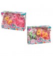 Set 2 pony magic friends in scatola