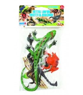 Busta Rettili E Anfibi 