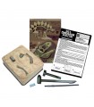 Kidzlabs - Scava e Crea lo Scheletro di un Dinosauro: T.Rex