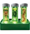 Kidzlabs - Laboratorio Insetti Luminescenti