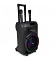 Trolley PRO Amplificatore Wireless con 2 Microfoni Wireless , Equalizzatore  e Funzione TWS