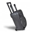 Trolley PRO Amplificatore Wireless con 2 Microfoni Wireless , Equalizzatore  e Funzione TWS