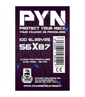 100 Bustine PYN 56x87