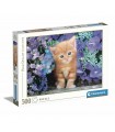 Puzzle da 500 Pezzi - Ginger Cat