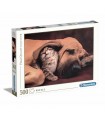 Puzzle da 500 Pezzi - High Quality Collection: Coccole