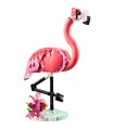 Creator - Animali Selvatici: Fenicottero Rosa