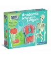 Scienza & Gioco - Anatomia Scheletro e Organi
