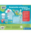 Scienza & Gioco - Anatomia Scheletro e Organi