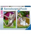 2 Puzzle da 500 Pezzi - Gattini