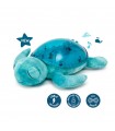 Tranquil Turtle - Aqua