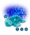 Tranquil Turtle - Aqua