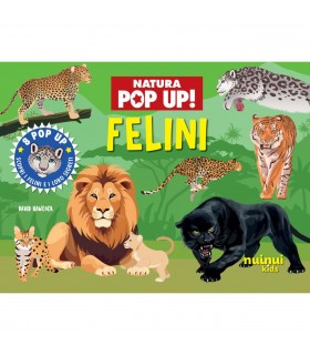 Natura Pop Up - Felini