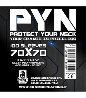 100 Bustine PYN 70x70