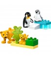 Duplo - Famiglie di Animali: Pinguini e Leoni