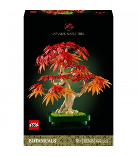 Botanicals - Bonsai di Acero Rosso Giapponese