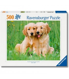 Puppies Collection: i fratelli Golden Retriever 500 pc