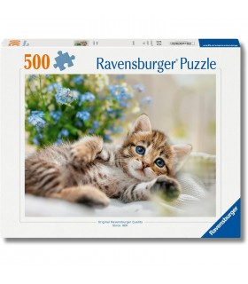 Puppies Collection: dolce gattino 500 pc