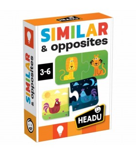 Similar & Opposites