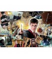  Pzl 1500 pz - Harry Potter