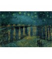  Pzl 1000 pz - Van Gogh: Starry Night over the Rhone