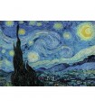  Pzl 1000 pz - Van Gogh: the Starry Night