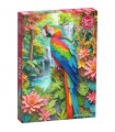Puzzle da 1000 Pezzi - A Miracle of Colour  