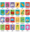 Maxi Flashcards Montessori Baby English