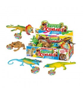 Animali Extandable Display 12 
