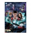 Puzzle da 1000 Pezzi - Harry Potter