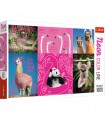 Puzzle da 1000 Pezzi - Neon: Animali Pazzi