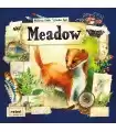Meadow - Gioco da Tavolo di Esplorazione della Natura per 1-4 Giocatori, Educativo e Strategico con Carte Illustrate