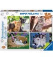 4 Puzzle da 100 Pezzi - Piccoli Gatti