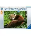 Puzzle da 500 Pezzi - Panda Rosso