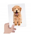 Flashcards Tactile Montessori