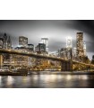 Puzzle da 1000 Pezzi - New York Skyline