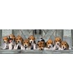 Puzzle da 1000 Pezzi Panorama - Beagles